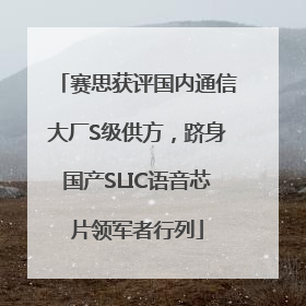 赛思获评国内通信大厂S级供方，跻身国产SLIC语音芯片领军者行列