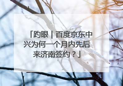 趵眼｜百度京东中兴为何一个月内先后来济南签约？