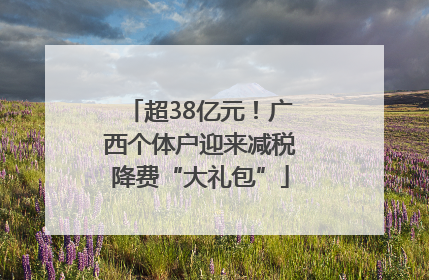 超38亿元！广西个体户迎来减税降费“大礼包”