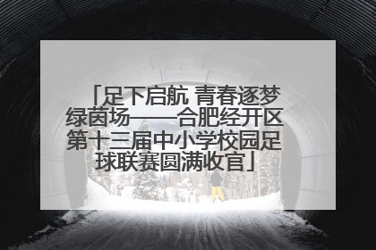 足下启航 青春逐梦绿茵场——合肥经开区第十三届中小学校园足球联赛圆满收官