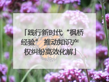 践行新时代“枫桥经验” 推动知识产权纠纷高效化解