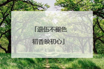 退伍不褪色 稻香映初心