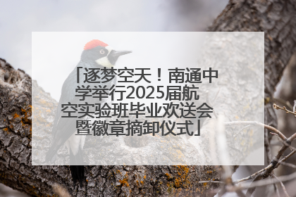 逐梦空天！南通中学举行2025届航空实验班毕业欢送会暨徽章摘卸仪式