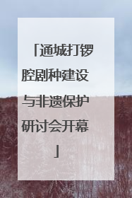 通城打锣腔剧种建设与非遗保护研讨会开幕