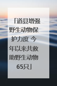道县增强野生动物保护力度 今年以来共救助野生动物65只
