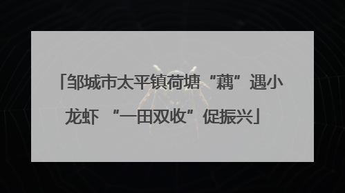 邹城市太平镇荷塘“藕”遇小龙虾 “一田双收”促振兴