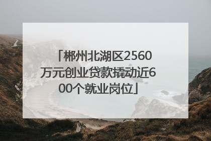 郴州北湖区2560万元创业贷款撬动近600个就业岗位