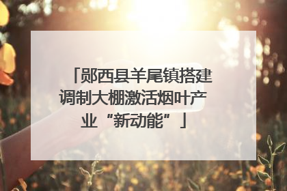 郧西县羊尾镇搭建调制大棚激活烟叶产业“新动能”