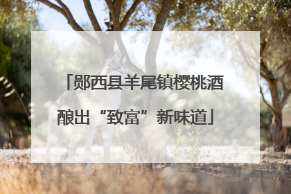 郧西县羊尾镇樱桃酒酿出“致富”新味道