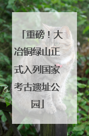 重磅！大冶铜绿山正式入列国家考古遗址公园