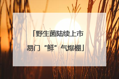 野生菌陆续上市 易门“鲜”气爆棚