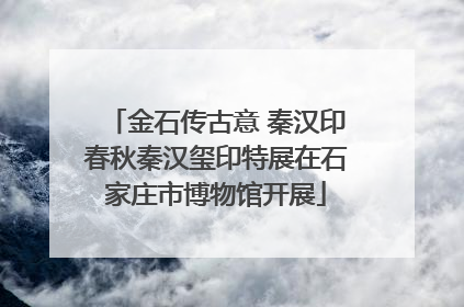 金石传古意 秦汉印春秋秦汉玺印特展在石家庄市博物馆开展