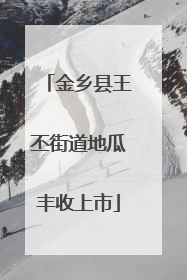 金乡县王丕街道地瓜丰收上市
