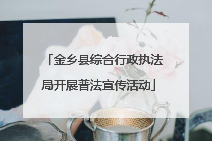 金乡县综合行政执法局开展普法宣传活动