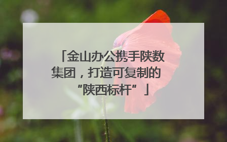 金山办公携手陕数集团，打造可复制的“陕西标杆”