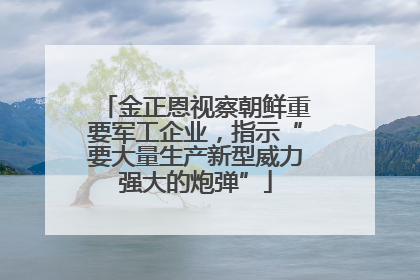 金正恩视察朝鲜重要军工企业，指示“要大量生产新型威力强大的炮弹”