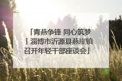 青燕争锋 同心筑梦丨淄博市沂源县燕崖镇召开年轻干部座谈会