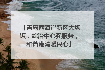 青岛西海岸新区大场镇：综治中心强服务，和谐港湾暖民心