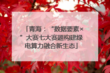 青海：“数据要素×”大赛七大赛题构建绿电算力融合新生态