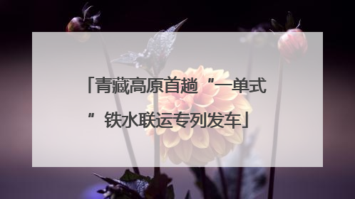 青藏高原首趟“一单式”铁水联运专列发车