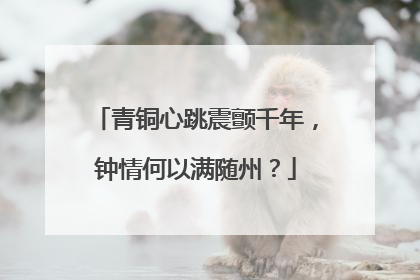 青铜心跳震颤千年，钟情何以满随州？