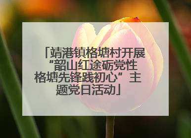靖港镇格塘村开展“韶山红途砺党性 格塘先锋践初心”主题党日活动