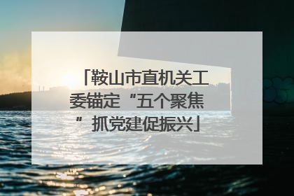 鞍山市直机关工委锚定“五个聚焦”抓党建促振兴