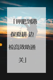 钾肥到港保夏耕 边检高效助通关