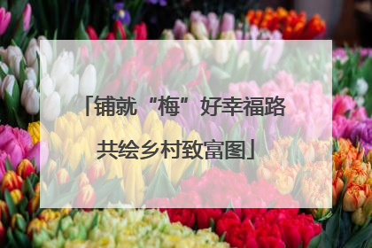 铺就“梅”好幸福路 共绘乡村致富图