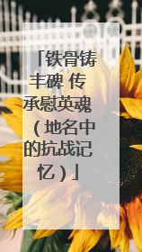 铁骨铸丰碑 传承慰英魂（地名中的抗战记忆）