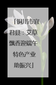 铜川市宜君县：艾草飘香迎端午 特色产业助振兴