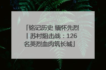 铭记历史 缅怀先烈丨苏村阻击战：126名英烈血肉筑长城