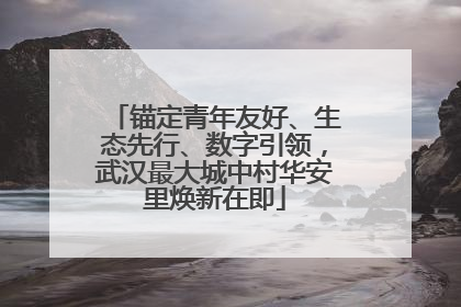 锚定青年友好、生态先行、数字引领，武汉最大城中村华安里焕新在即