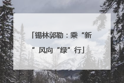 锡林郭勒：乘“新”风向“绿”行