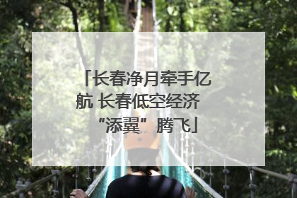 长春净月牵手亿航 长春低空经济“添翼”腾飞