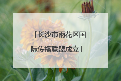 长沙市雨花区国际传播联盟成立
