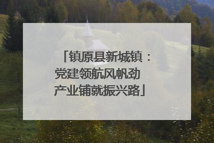 镇原县新城镇：党建领航风帆劲 产业铺就振兴路