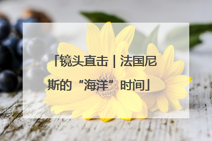 镜头直击｜法国尼斯的“海洋”时间