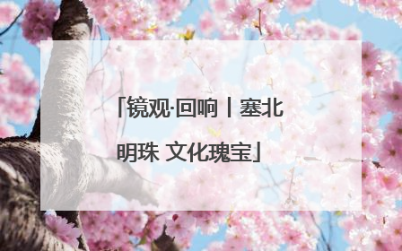 镜观·回响丨塞北明珠 文化瑰宝