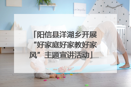 阳信县洋湖乡开展“好家庭好家教好家风”主题宣讲活动