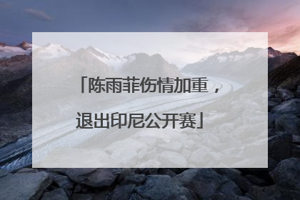 陈雨菲伤情加重，退出印尼公开赛