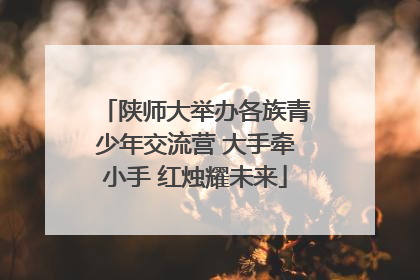 陕师大举办各族青少年交流营 大手牵小手 红烛耀未来