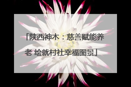 陕西神木：慈善赋能养老 绘就村社幸福图景