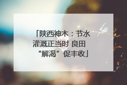 陕西神木：节水灌溉正当时 良田“解渴”促丰收