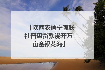 陕西农信宁强联社普惠贷款浇开万亩金银花海