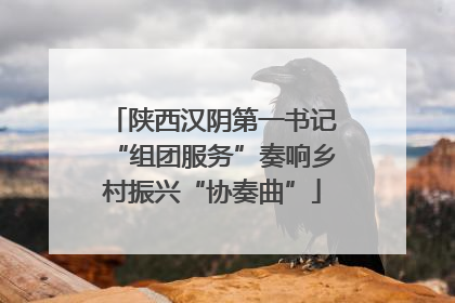 陕西汉阴第一书记“组团服务”奏响乡村振兴“协奏曲”