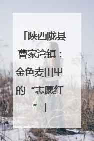 陕西陇县曹家湾镇：金色麦田里的“志愿红”