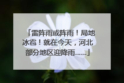雷阵雨或阵雨！局地冰雹！就在今天，河北部分地区迎降雨……