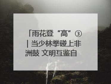 雨花登“高”③｜当少林拳碰上非洲鼓 文明互鉴自有动人韵律