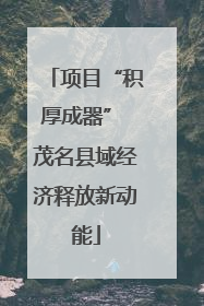 项目“积厚成器” 茂名县域经济释放新动能